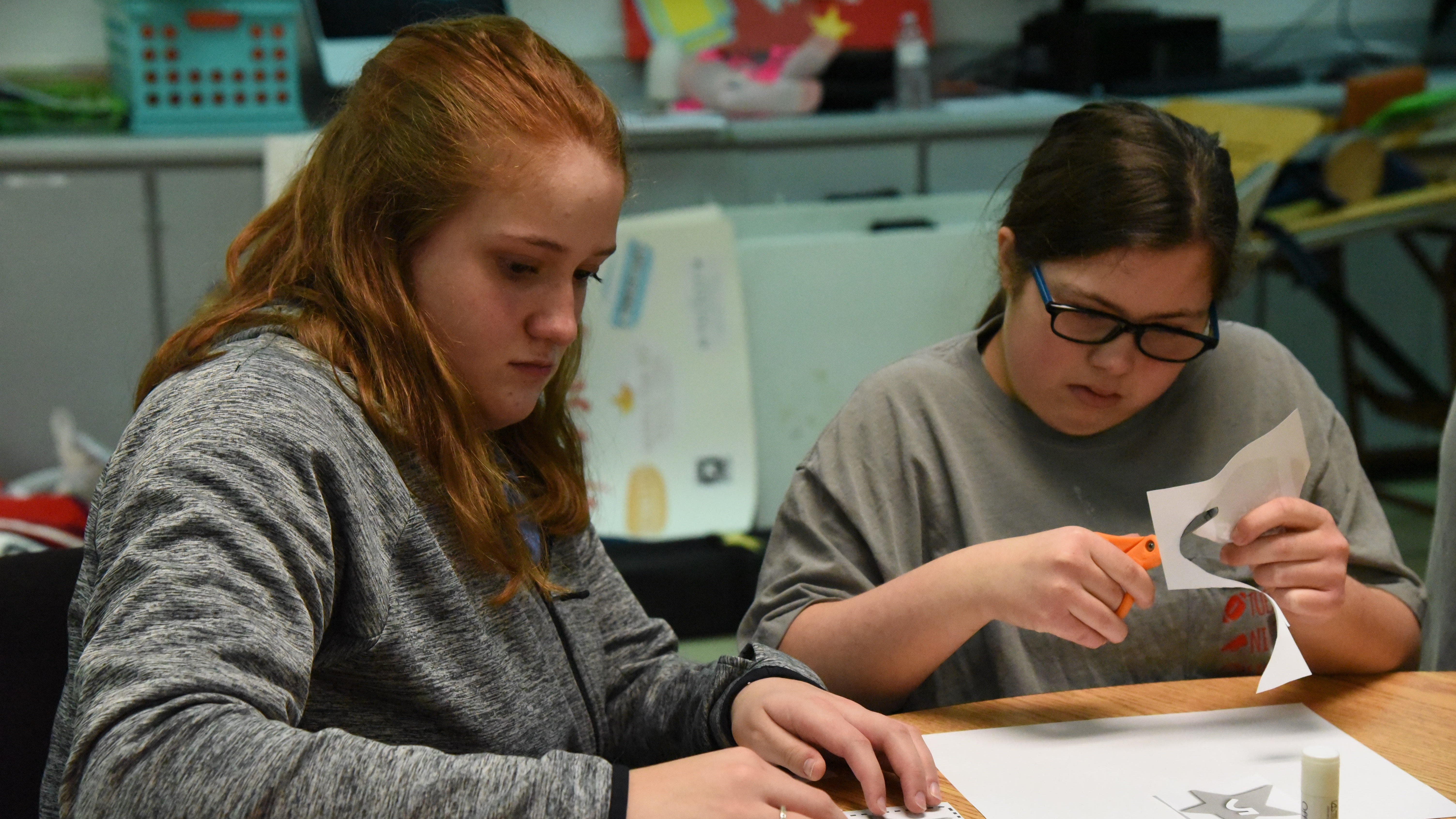 Peer tutor Ellie Hassell (left) works on a project with Morgan Holbert during a class at Halls High School. 